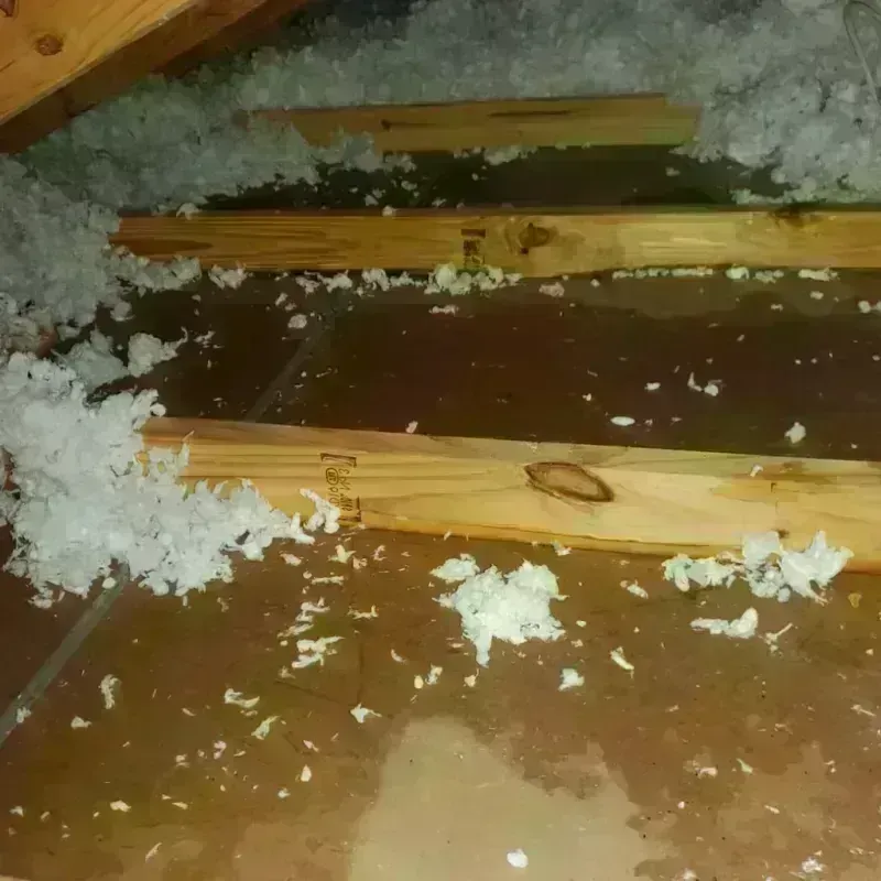 Attic Water Damage in Running Springs, CA