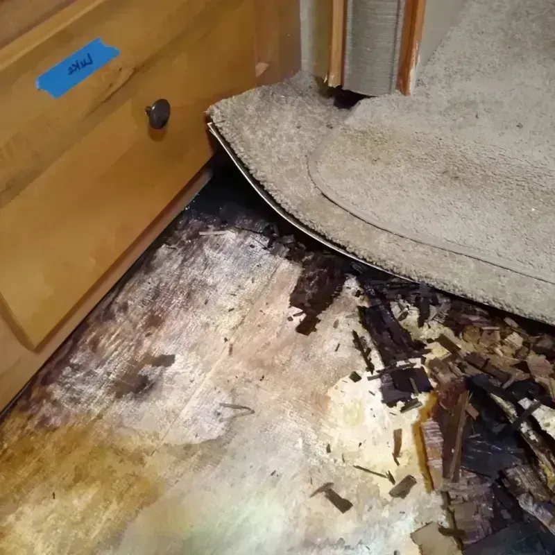 Wood Floor Water Damage in Running Springs, CA